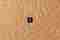 ivc-immersion-collection-2-thumbnail.jpg