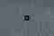 ivc-immersion-collection-thumbnail.jpg